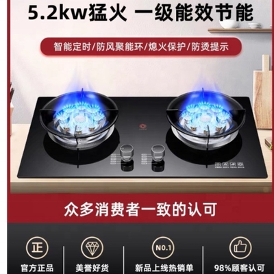 Upgrade Your Cooking Experience with Super Performance Gas Burner at Low Investment