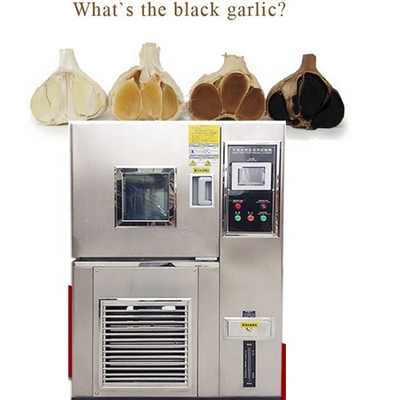 2022 Domestic Village Active Demand Black Garlic Fermenting Machine with Low Investment