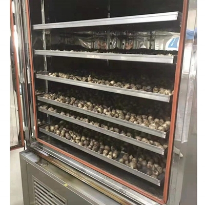 2022 Domestic Village Active Demand Black Garlic Fermenting Machine with Low Investment