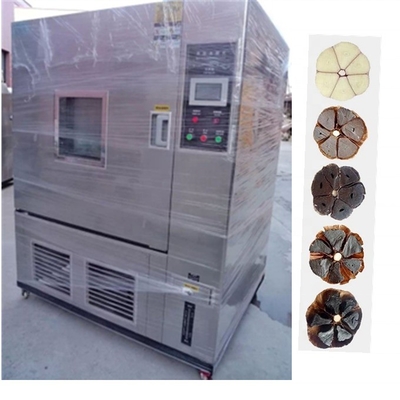 2022 Domestic Village Active Demand Black Garlic Maker with Fast Temperature Rise Speed