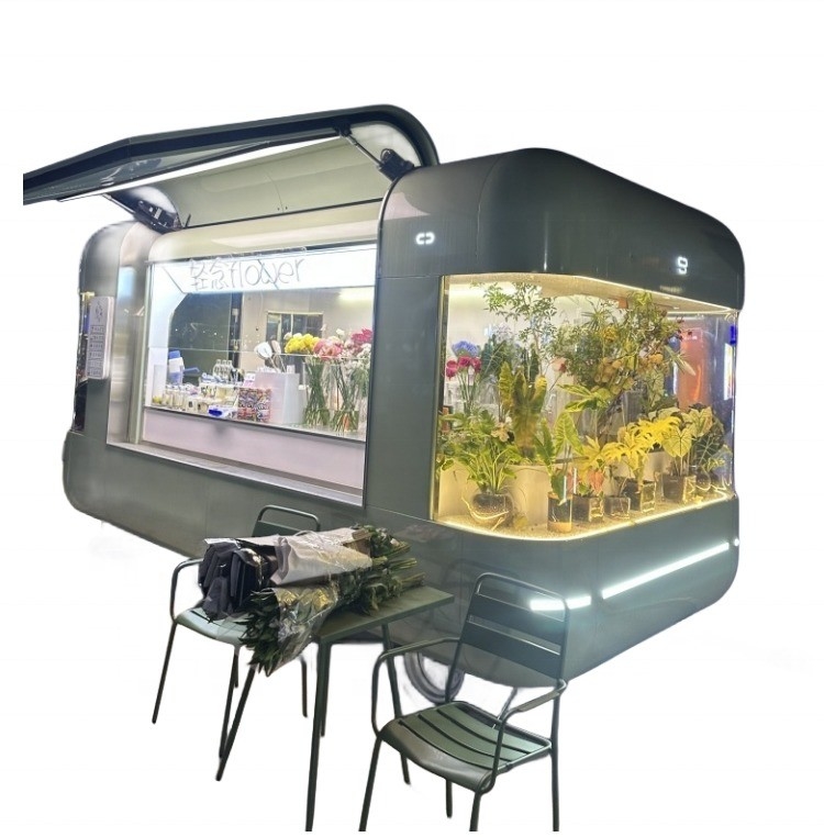 Full Kitchen Equipment Mobile Capsule Fast Food Trailer for Ice Cream and Snack Vending